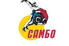 Клубы и секции самбо Южном административном округе города Москвы