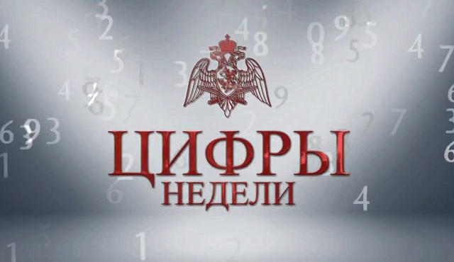 За прошедшую неделю личным составом Главного управления Росгвардии по городу Москве обеспечена безопасность порядка 260 массовых мероприятий, прошедших на территории столицы